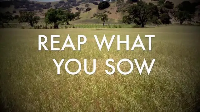 reap what you sow