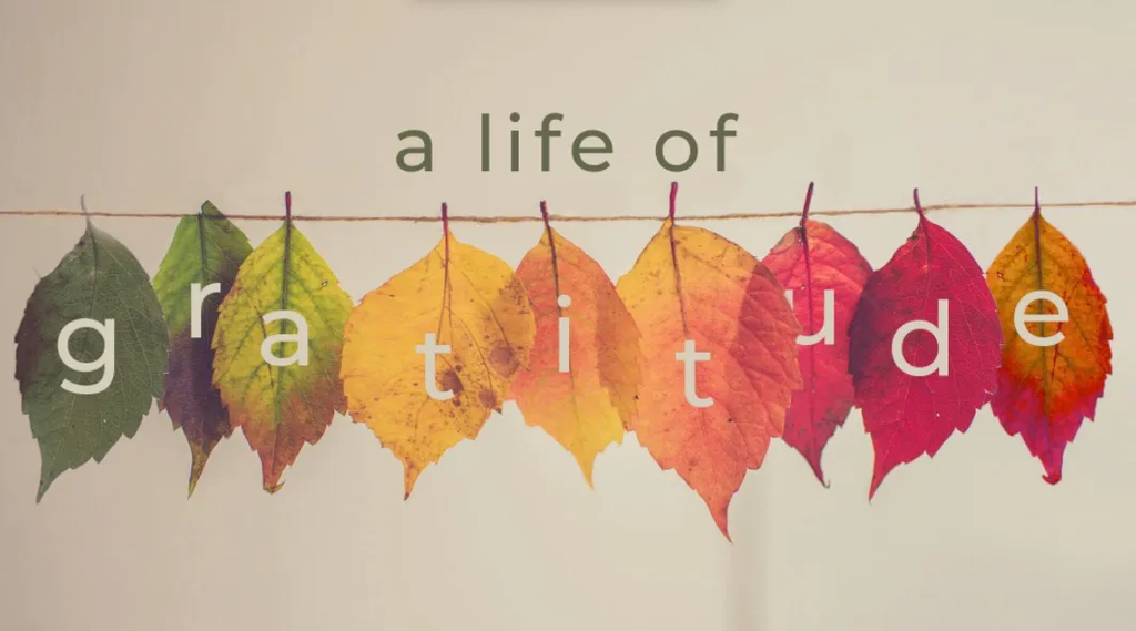 a life of gratitude
