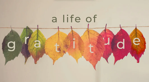 a life of gratitude
