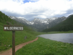 wilderness of rest
