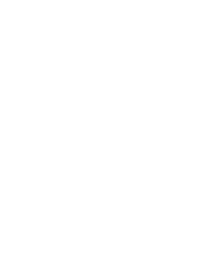 H.U.G. Collection