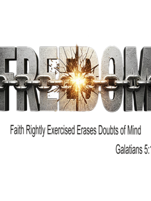 F.R.E.E.D.O.M. Collection