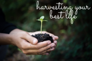 lessons on growing