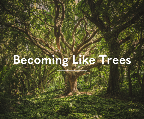 Becoming like trees and growing