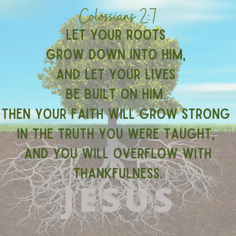 Colossians 2:7 Bible verse