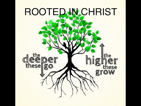 Rooted in Christ; the deeper the roots go, the higher the branches grow