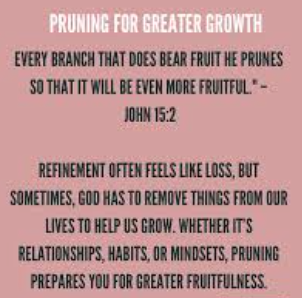 pruning is necessary for greater growth