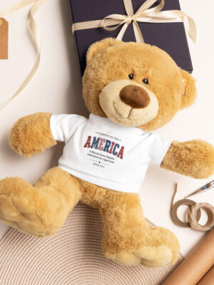 America 250 Teddy bear with a t-shirt