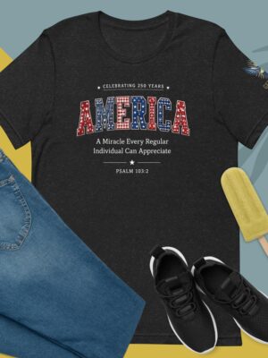 AMERICA 250 — Bella+Canvas Unisex t-shirt