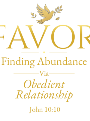 F.A.V.O.R. Collection