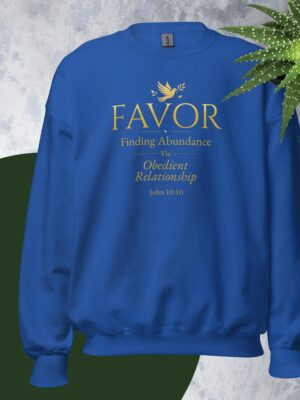 favor — finding abundance via obedient relationship sweatshirt
