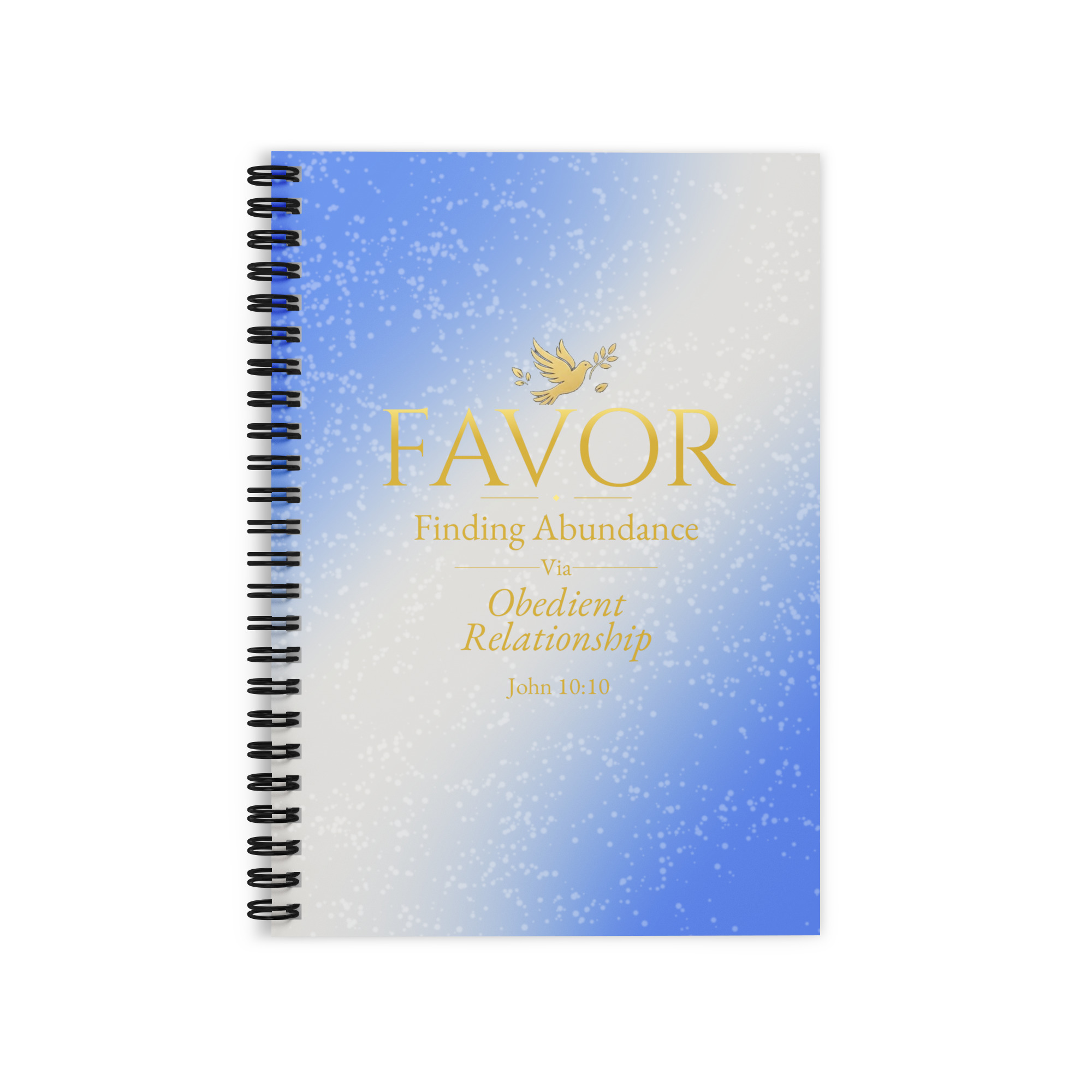 FAVOR Ruled Line Spiral Notebook