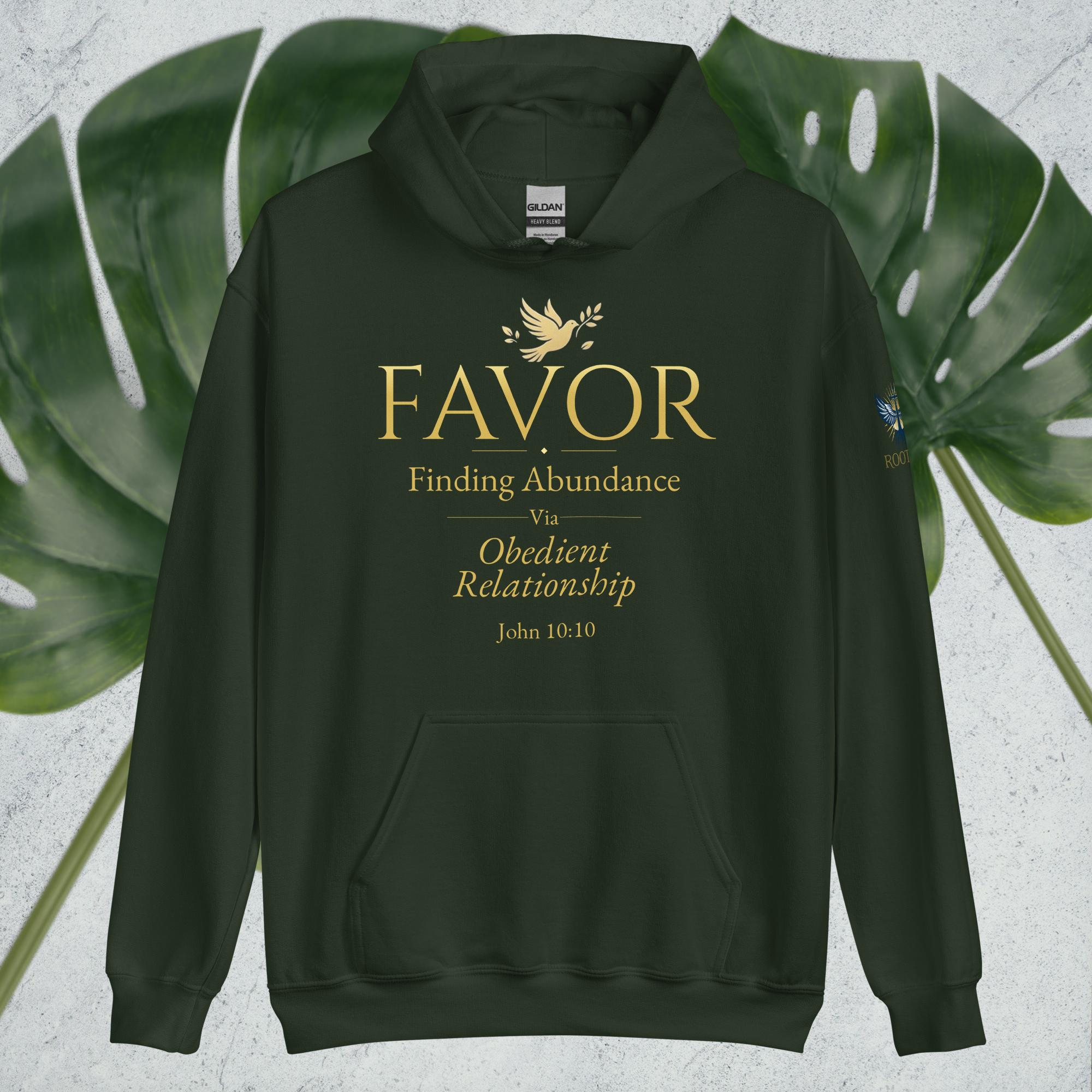 F.A.V.O.R. Hoodie — Finding Abundance Via Obedient Relationship - Image 5